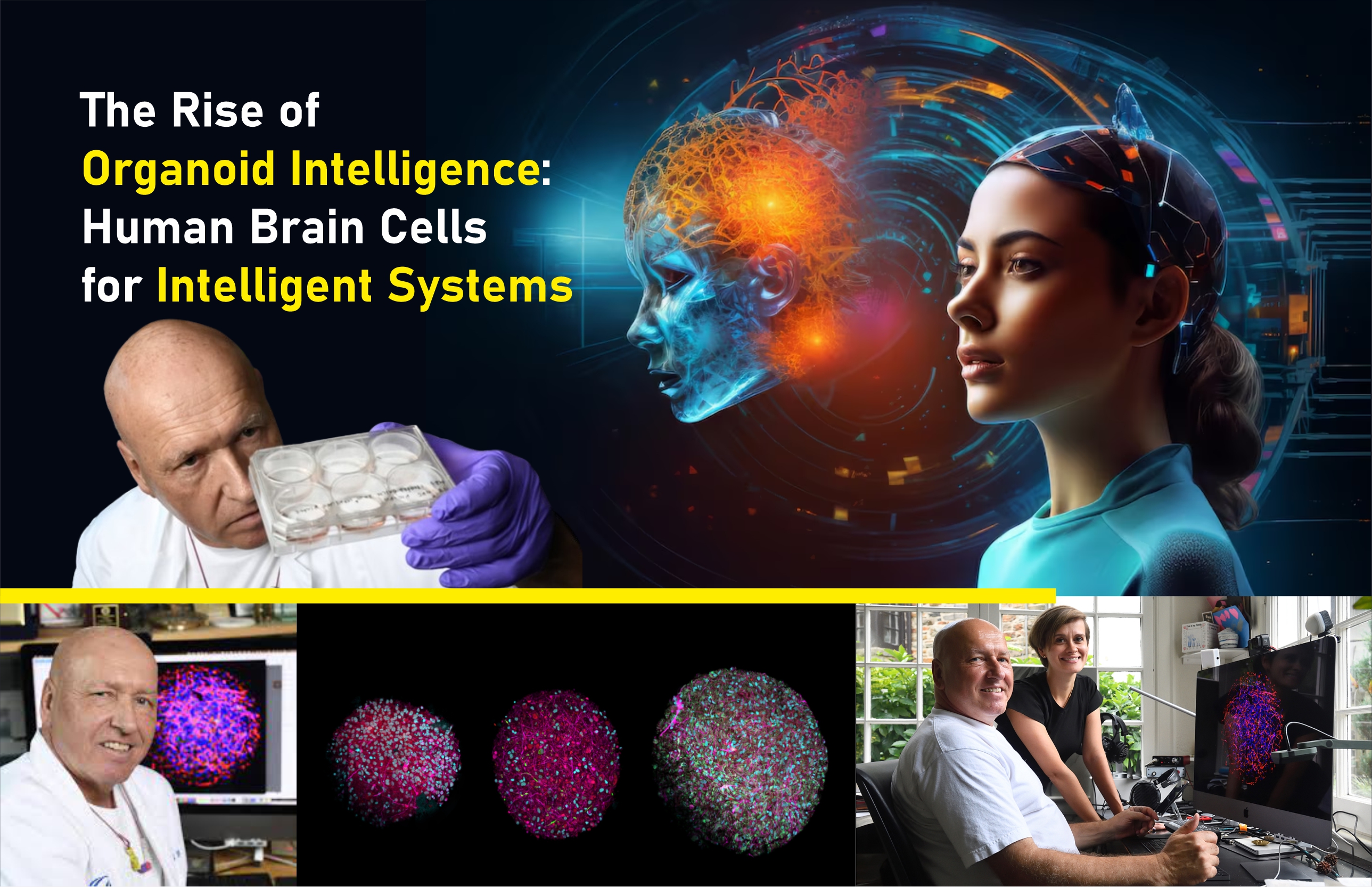 Organoid Intelligence