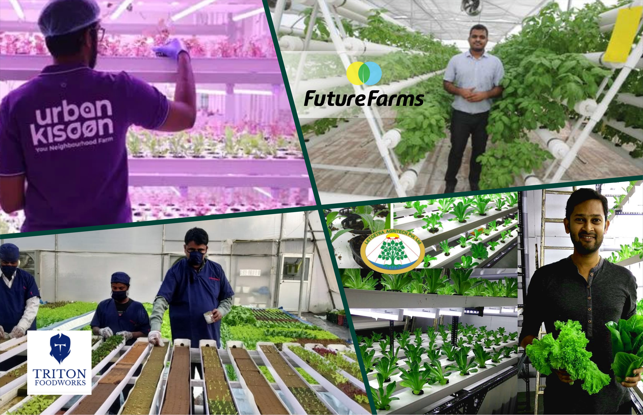 Cultivating Sustainability