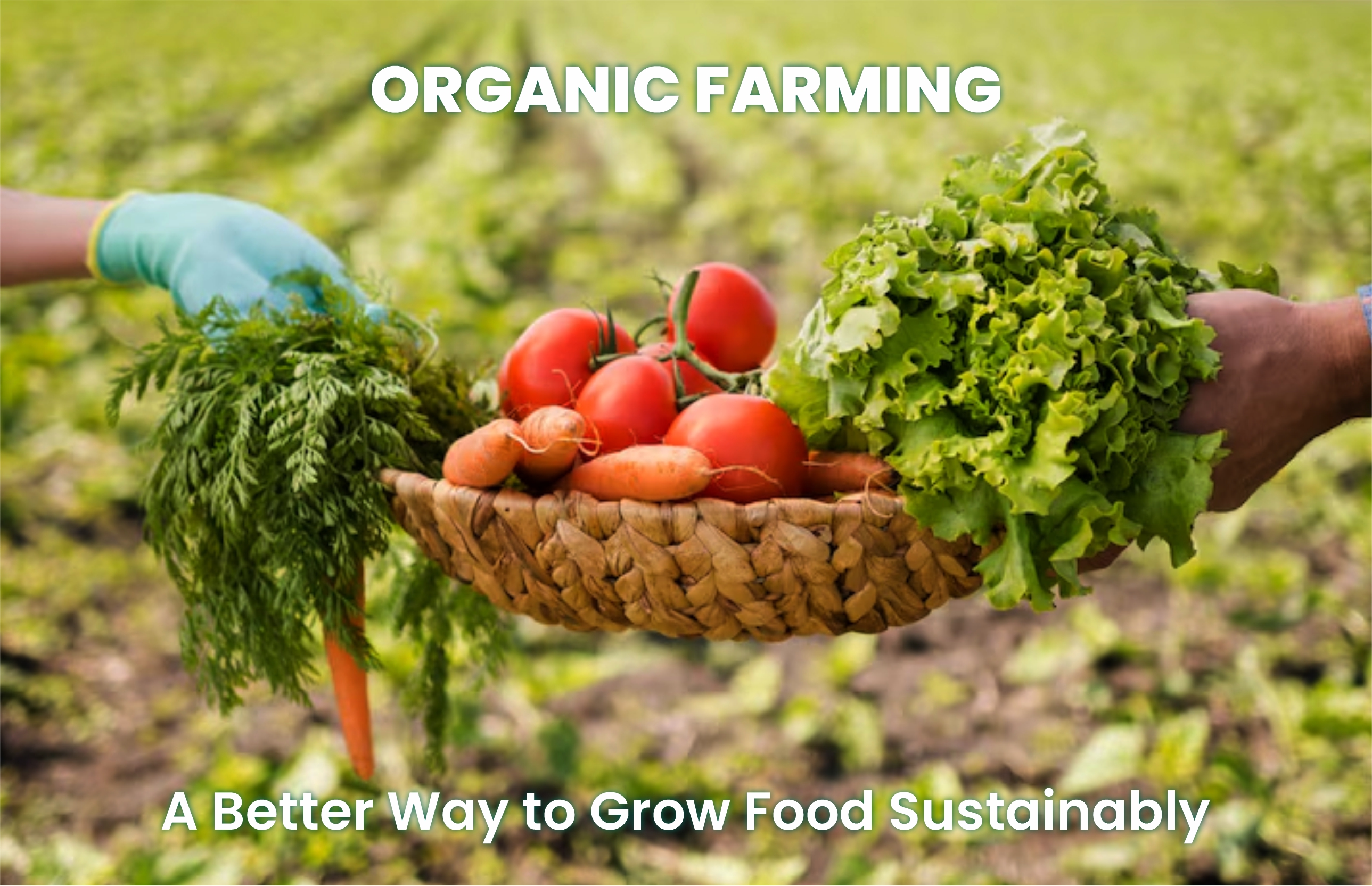 Organic Farming