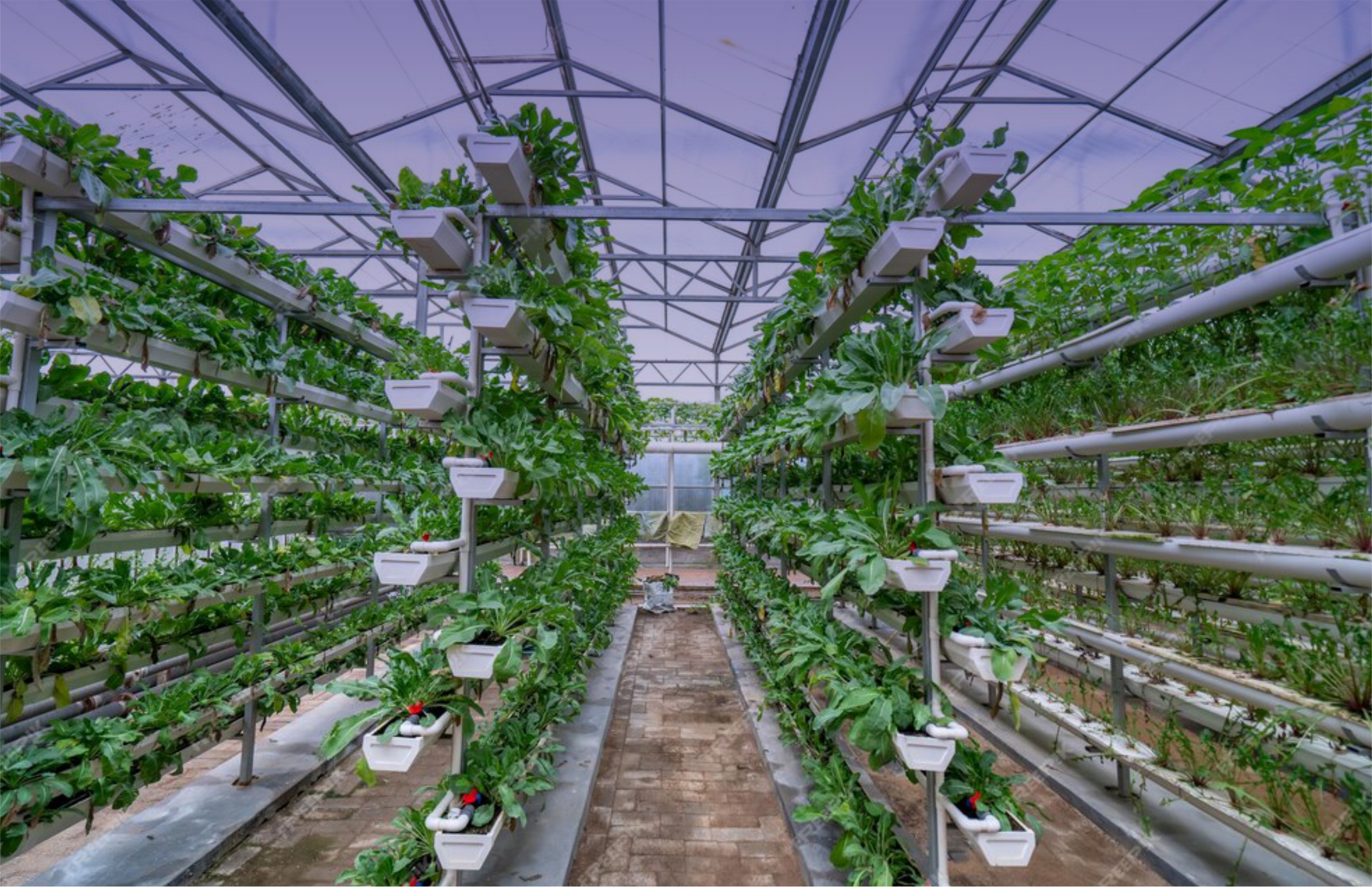 Vertical-Farming