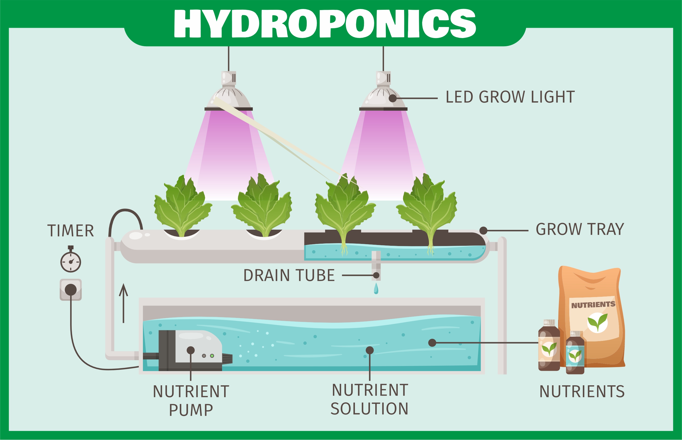 hydroponics